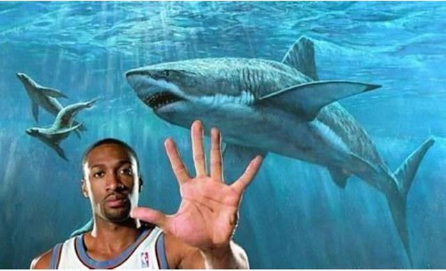NBA的创始人，一个被篮球改变命运的加拿大人