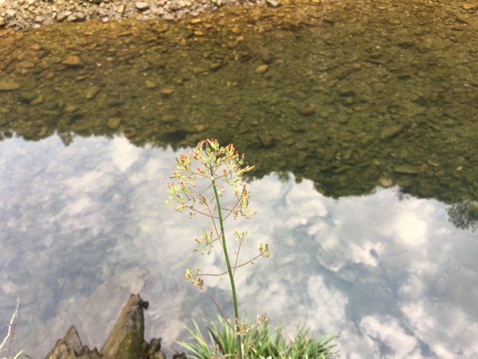 江苏夏季旅游攻略，梅雨蝉鸣里的江南烟火气