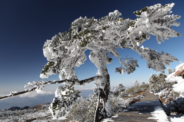 轿子雪山7月旅游攻略，夏天去雪山，这事儿靠谱吗？