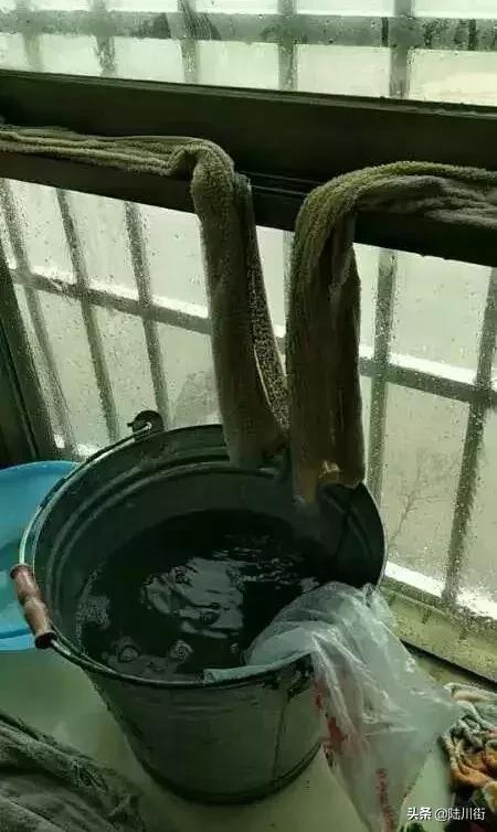 容县体育馆，不只是个大罩子这么简单