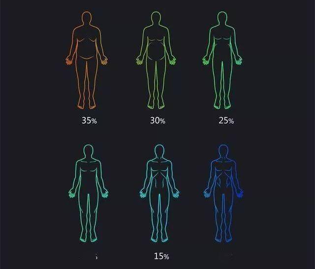 体脂率多少健康？别被体重秤骗了，这才是你该盯的数字