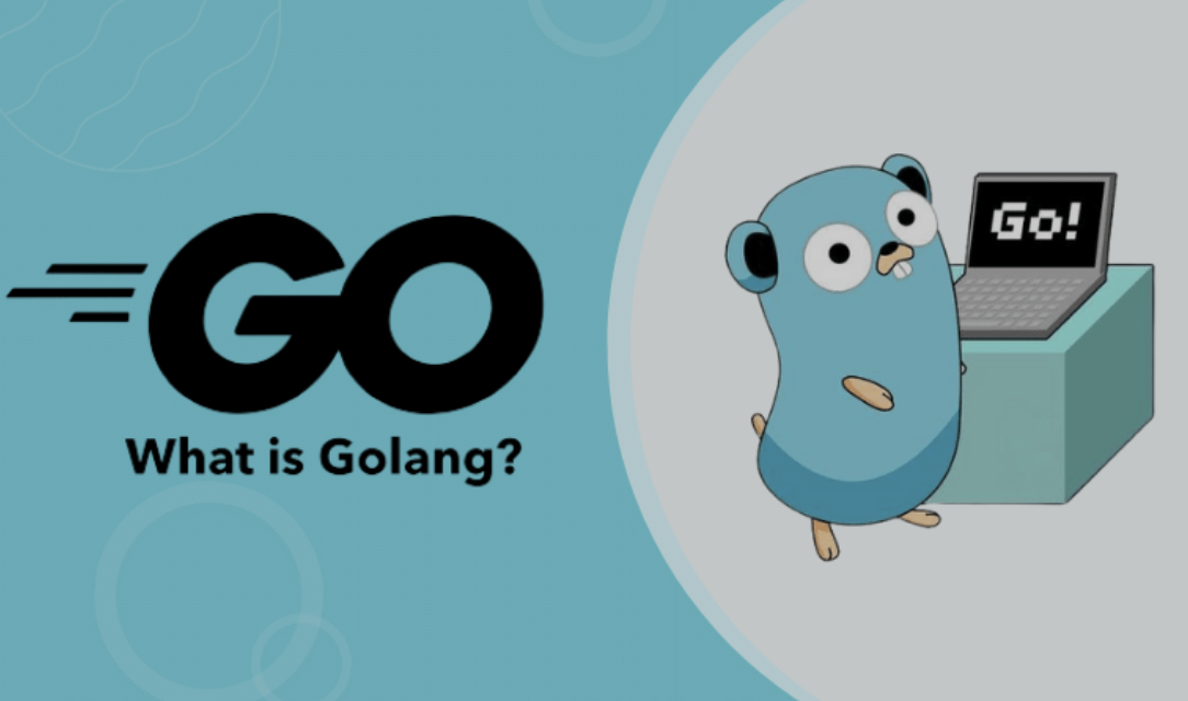 健康评估的内容，用Golang的逻辑拆解你真的健康吗