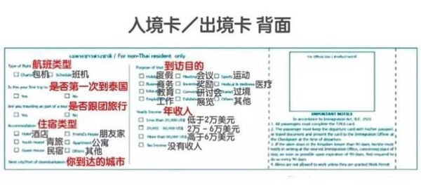 杜布旅游攻略,一个程序员用Go语言思维拆解的实用旅行指南 杜布旅游攻略,一个程序员用Go语言思维拆解的实用旅行指南