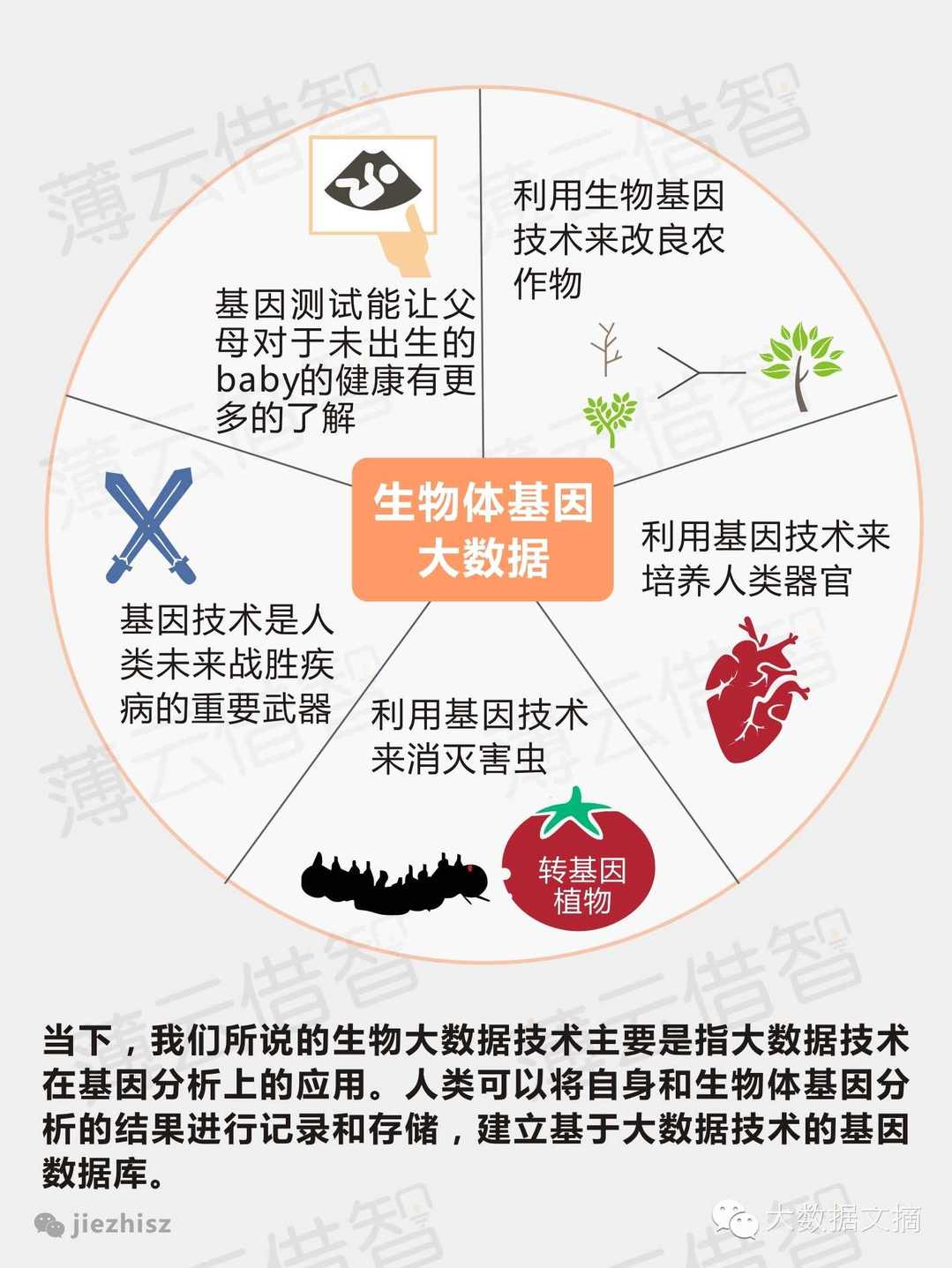 基因与健康，你的身体里住着一本生命说明书