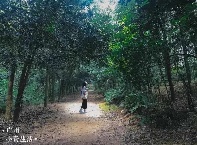 空调健康换气，让呼吸在夏天也能像在森林里一样