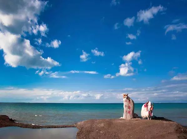 8月去青海湖旅游攻略，一个老旅行者的真心话