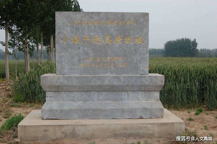 成都荆或科技有限公司为什么加我QQ号？这事儿我得跟你聊聊