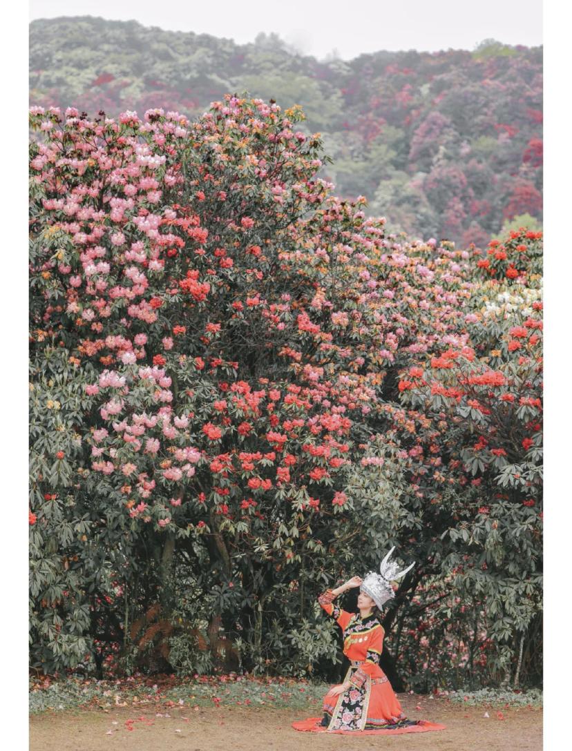 8月毕节旅游攻略,在贵州的清凉大山里,找到夏天最舒服的过法 8月毕节旅游攻略,在贵州的清凉大山里,找到夏天最舒服的过法