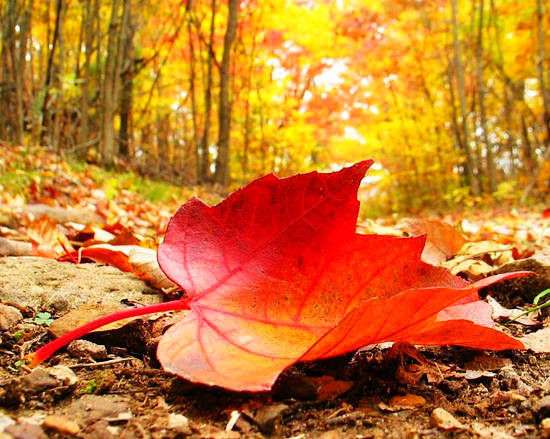 8到10月适合哪里旅游攻略，秋天去哪玩，这份清单你收好