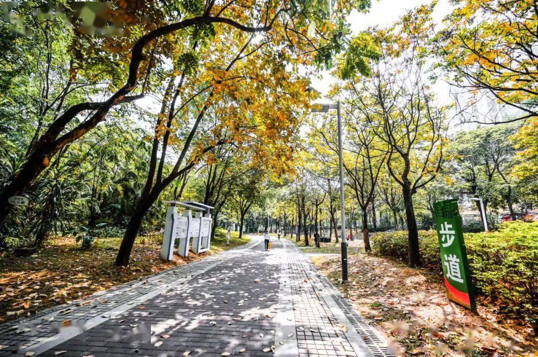 大岭山体育公园，一个让你爱上运动的宝藏地方
