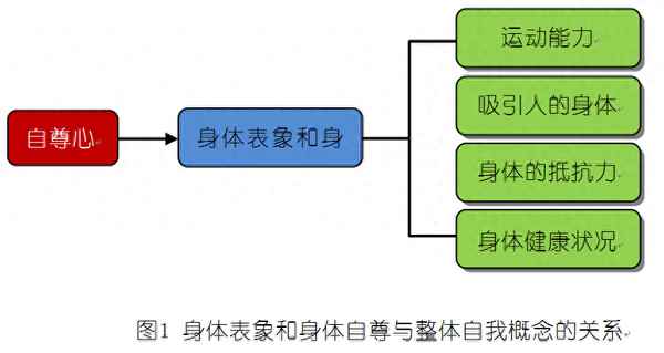 体育与健康内容，用身体读懂生命的语言