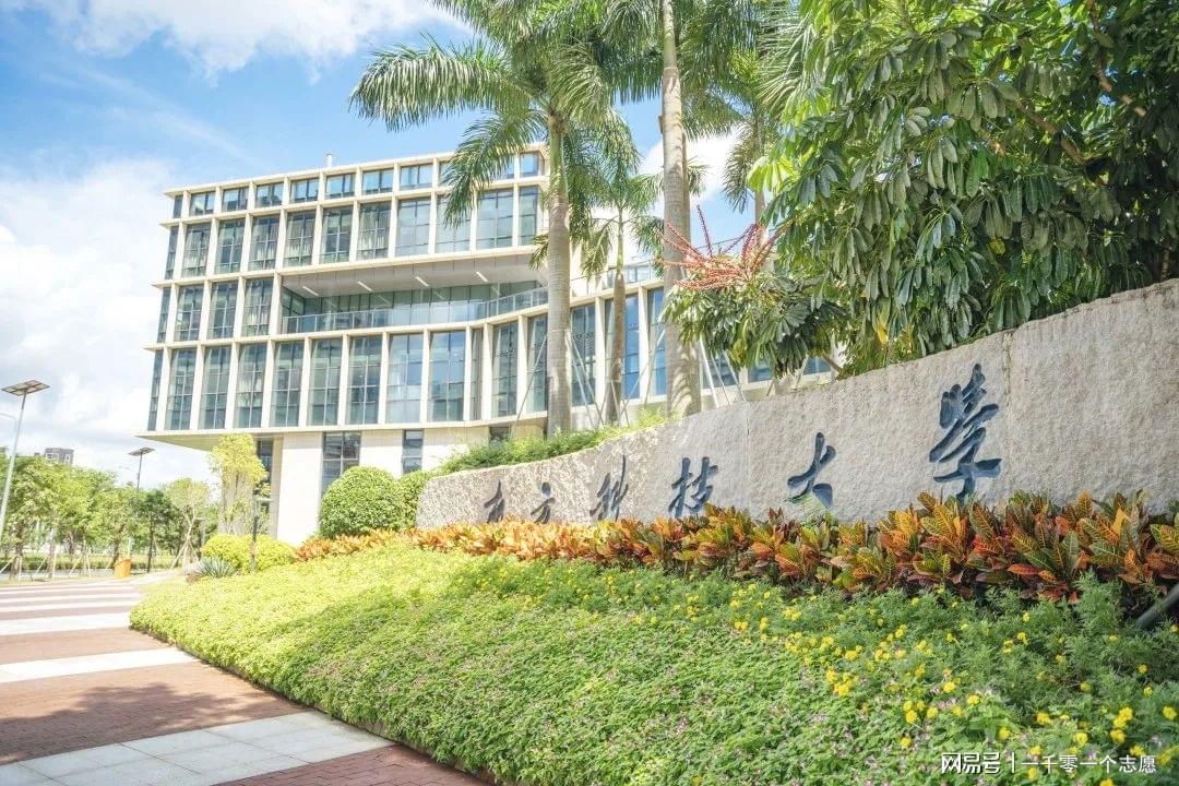 南方科技大学QS排名为什么这么高？我用Go语言思维拆解一下