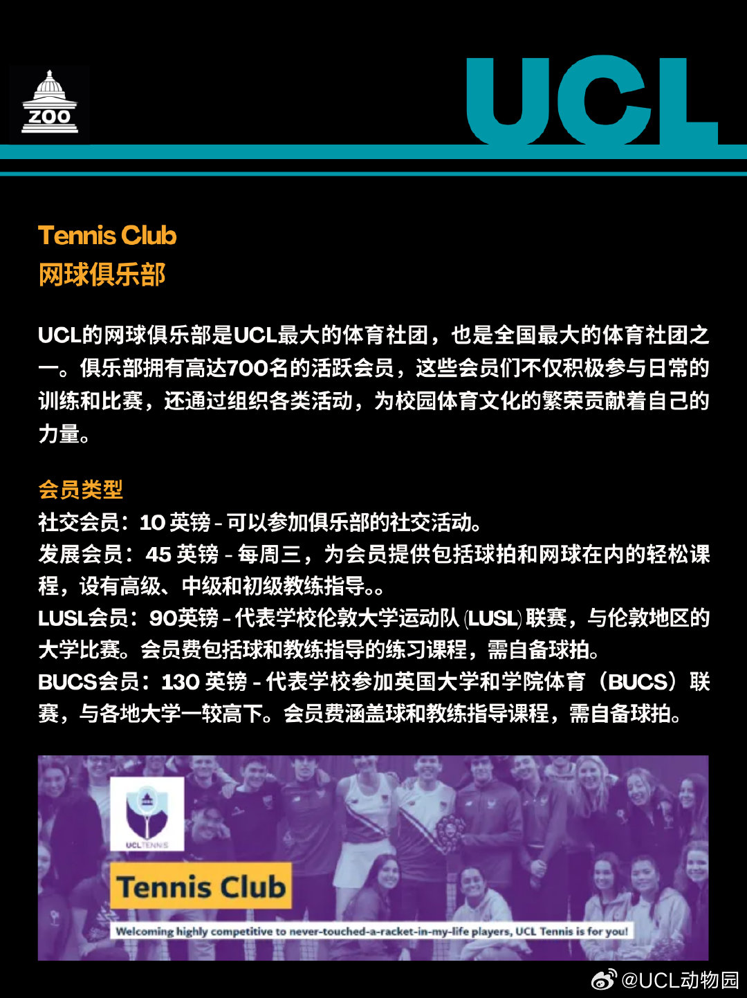 体育俱乐部英语，从菜鸟到达人，我的实战心得