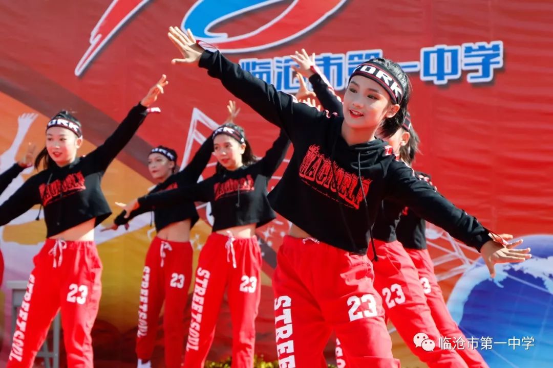 广东体育回放，一场永不散场的南粤体育盛宴