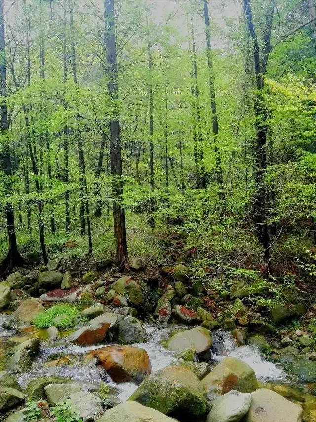 信阳市鸡公山旅游攻略，一座会呼吸的山，值得你慢慢逛