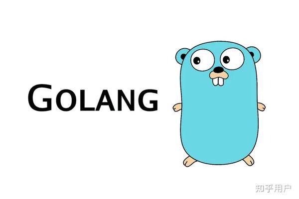 欲健康，先学会不做什么—一个Golang工程师的养生手记