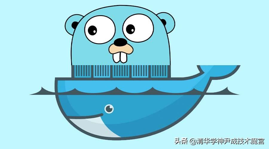 用Golang写给自己的一份健康目标指南，从代码到生活的编译运行
