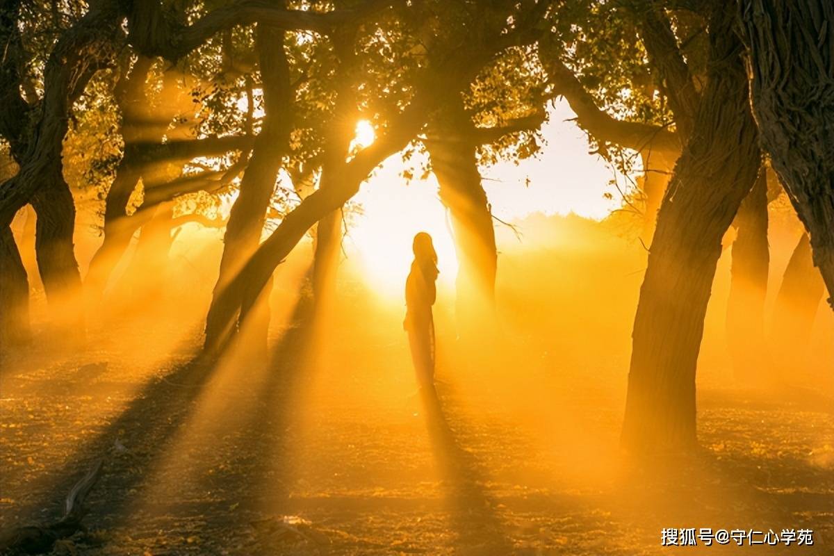 健康阳光的图片，一场与光同行的视觉疗愈