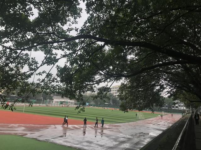 南充体育场，嘉陵江畔的热血与烟火气